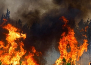 Zjarrfikësit evropianë bëhen bashkë kundër flakëve në Francë