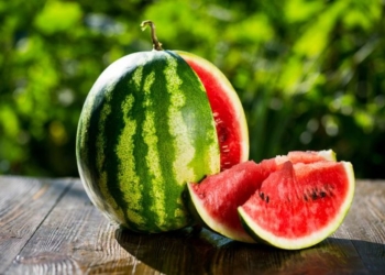 Sekreti që të gjithë duan të dinë, çfarë rëndësie ka madhësia e shalqinit?