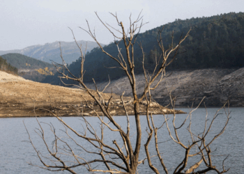 Qeveria britanike shpall gjendjen e thatësirës në disa pjesë të vendit