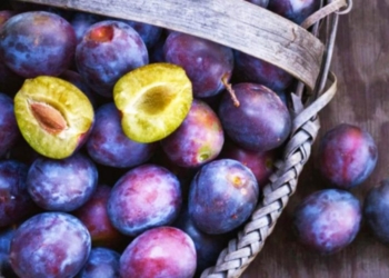 Vlerat mahnitëse të kumbullave