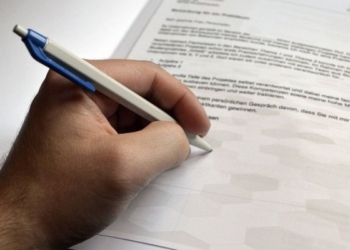 Dita Botërore e Majtakëve, fakte interesante rreth tyre