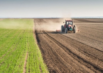 Shqipëria mbështet fermerët me 30 mijë lekë për çdo hektarë të mbjellë me grurë