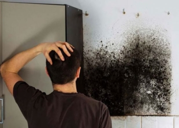 Alergjia nga myku dhe disa mënyra natyrale për ta luftuar atë