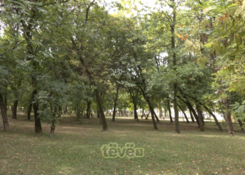 Qendra për Punë Sociale i ofroi përkrahje e strehim 11-vjeçares, gjendja e saj është stabile