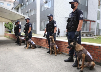 Policia e Kosovës ka blerë 10 qenë zyrtarë nga Kroacia, kushtuan rreth 54 mijë euro