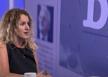 Gashi: Kuvendi i Kosovës duhet të bëjë më shumë në përfaqësimin e diasporës