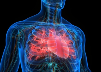 Faktori i ri që rrit rrezikun e sëmundjeve të zemrës