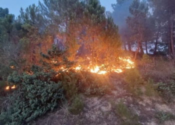 28 vatra zjarri gjatë 24-orëve në Shqipëri