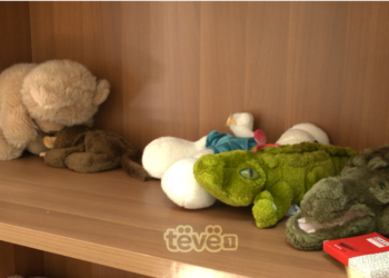 Një 4-vjeçare u dhunua seksualisht këtë vit