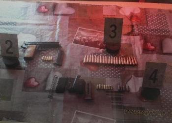 Policia arreston gjashtë persona, konfiskon armë dhe bimë narkotike