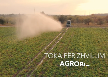 AKP shpall shitjen e aseteve në likuidim – SHAL 59