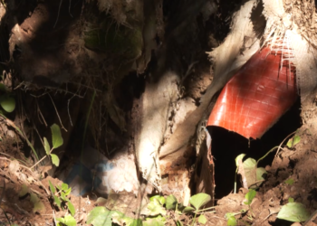 Si u raportua në kohë lufte nga bunkeri?