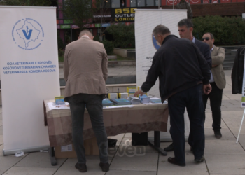 Sëmundja e tërbimit, vaksinimi është e vetmja mënyrë parandaluese