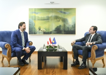 Kurti në takim me eurodeputetin Mandl: Austria është mik i madh i Kosovës
