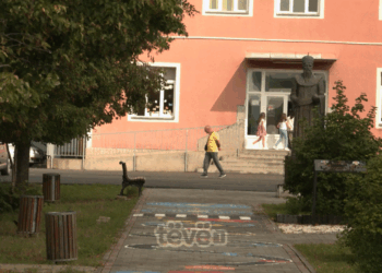 Private: Sulmet kibernetike, Kosova me “mangësi” në sigurinë e faqeve qeveritare