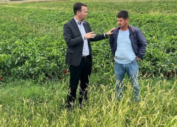 Peci: Dëmet nga reshjet e shiut do të kompensohen nga Ministria e Bujqësisë