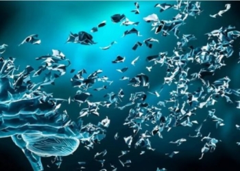 Cilat janë pesë fazat e Alzheimerit, sëmundje e harresës