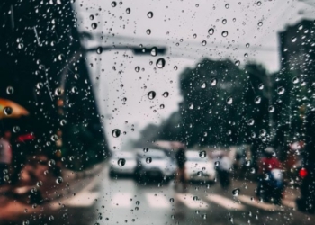 Aroma e shiut përmirëson këtë sëmundje, 7 herë më shumë se ilaçet