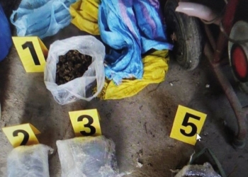 Policia arreston dy persona dhe u sekuestron 18 kg marihuanë