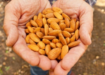 Ushqimet që ndalojnë oreksin e tepërt