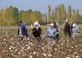 BE synon të ndalojë produktet që janë rezultat i punës së detyrueshme
