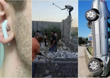 12 fotografi që tregojnë se “truri i të gjithëve nuk funksionon në të njëjtën mënyrë”