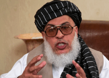 Një zyrtar taliban bën thirrje për rihapje të shkollave për vajza