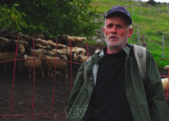 “Ma mirë i ruaj delet e mia, sesa delet e gjermanit”. Qytetari bën apel për kthim në vendlindje