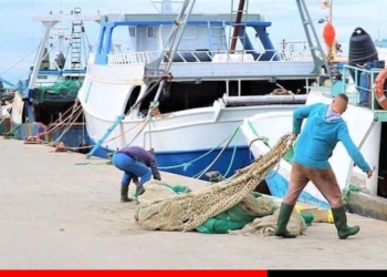 Rama thotë se rilinden industrinë e peshkimit