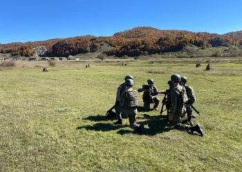 Mehaj: Viti 2022, dyfishim i aktiviteteve ndërministrore dhe ndërushtarake mes Kosovës dhe Shqipërisë