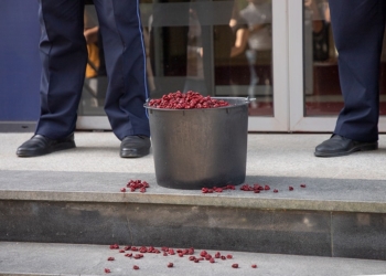 PSD aksion para Qeverisë – vendos një kovë me qershi