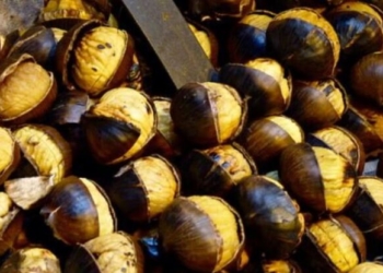 Gështenjat shërojnë këto sëmundje