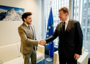 Lajçak pas takimit me Abazoviqin: I lumtur që Gjykata Kushtetuese është funksionale