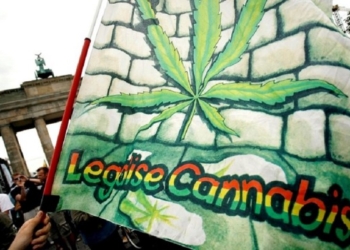 Gjermania drejt legalizimit të kanabisit