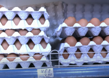 Pesë persona kryejnë vjedhje në fshatin Peqan të Suharekës