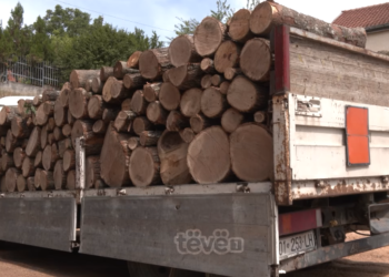 Rishi Sunak favorit për t’u bërë kryeministër i Britanisë së Madhe