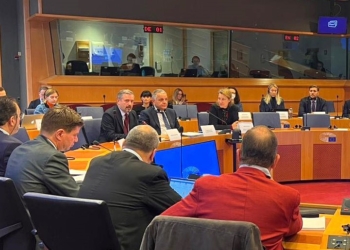 Bajrami: Me mbështetjen që kemi nga parlamentarët e BE-së, suksesi është i garantuar