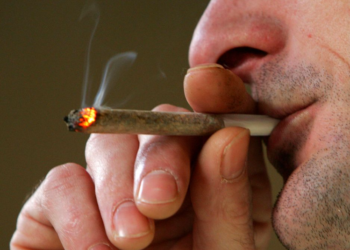 Gjermania do të legalizojë përdorimin e kanabisit