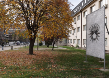 Brenda këtij viti 13 raste të dhunës seksuale, raportimet janë rritur nga muaji korrik