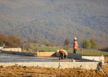 Fillon ndërtimi i Qendrës për Trajtimin e Kafshëve