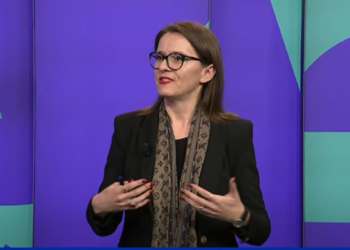 Anëtarja e Kryesisë së PDK-së: Strategjia Kombëtare e vendit nuk guxon të lidhet me agjenden e një partie