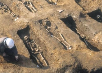 ‘Vdekja e zezë’ 700 vjet më parë ndikon në shëndetin tonë tani