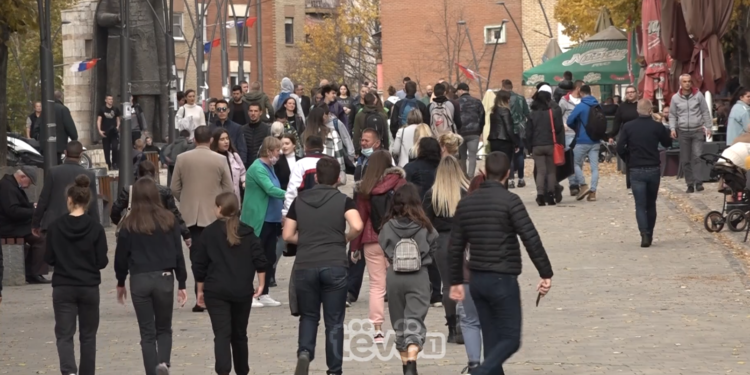 Suharekasit shënojnë Ditën e Arrës