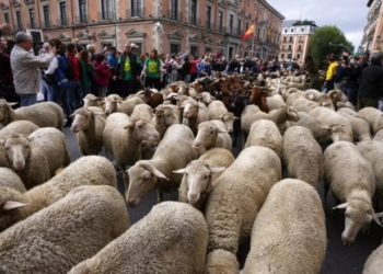 Delet pushtojnë Madridin