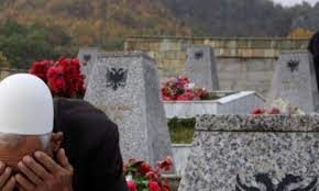 Arrestohet një i dyshuar për krime të luftës në Istog