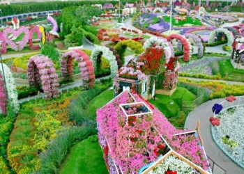 Kopshti më i madh në botë, janë të mbjellura mbi 150 milionë lule