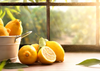 Ka një arsye pse nuk duhet të shkoni kurrë në shtrat pa një limon