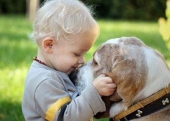 Studimi tregon se përkëdhelja e një qeni ndikon mirë në trurin tuaj