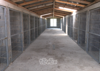 Komuna e Ferizajt ka ndërtuar një qendër për trajtimin e qenve endacak