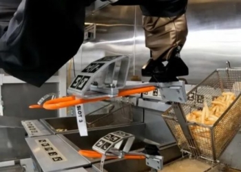Robotët po e gatuajnë më mirë pomfritin se njerëzit